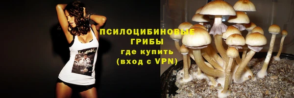 тгк Магадан