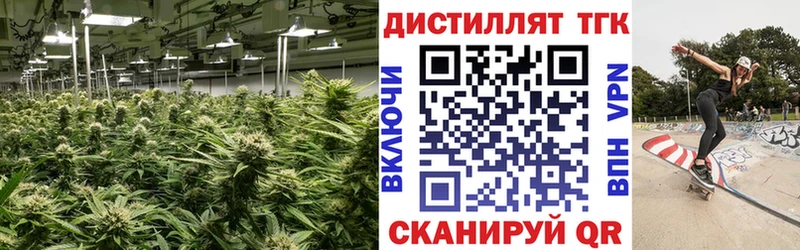 Купить где  Мосальск  Дистиллят ТГК гашишное масло 